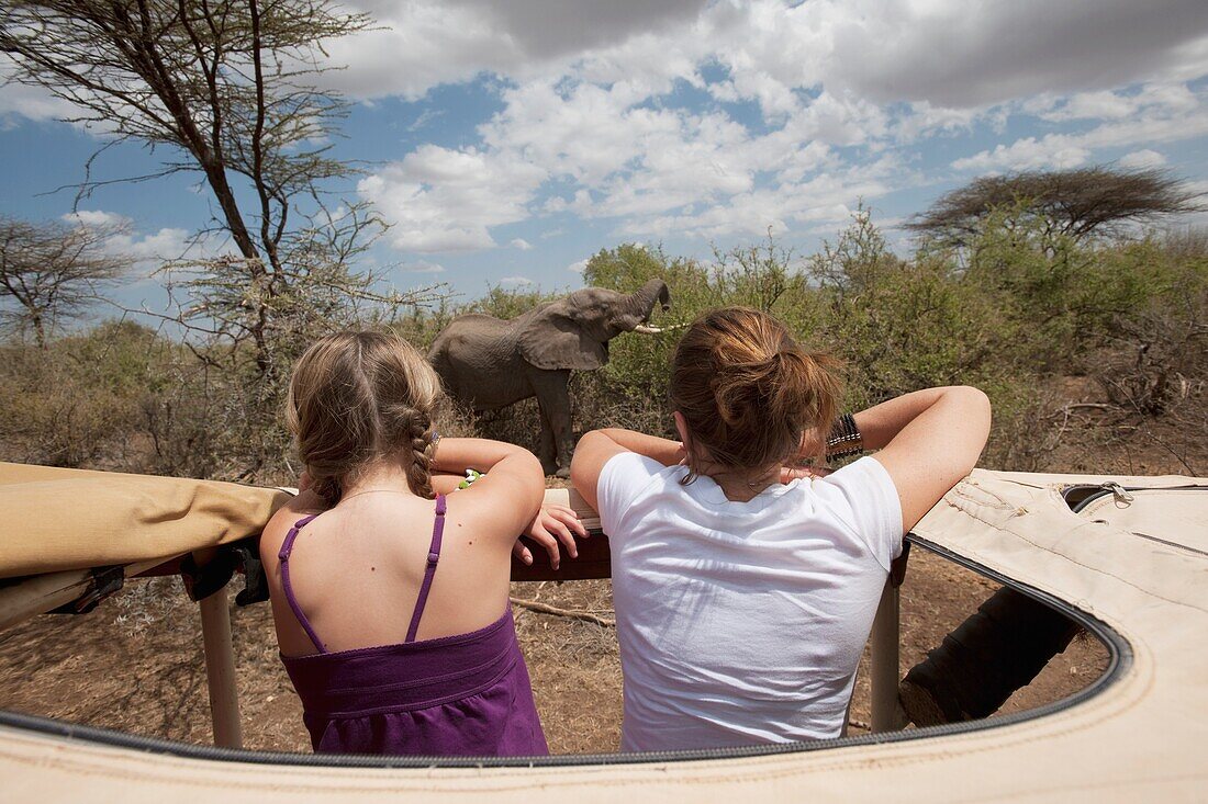 Tourist Lookout, Samburu National Reserve, Kenya, Africa
