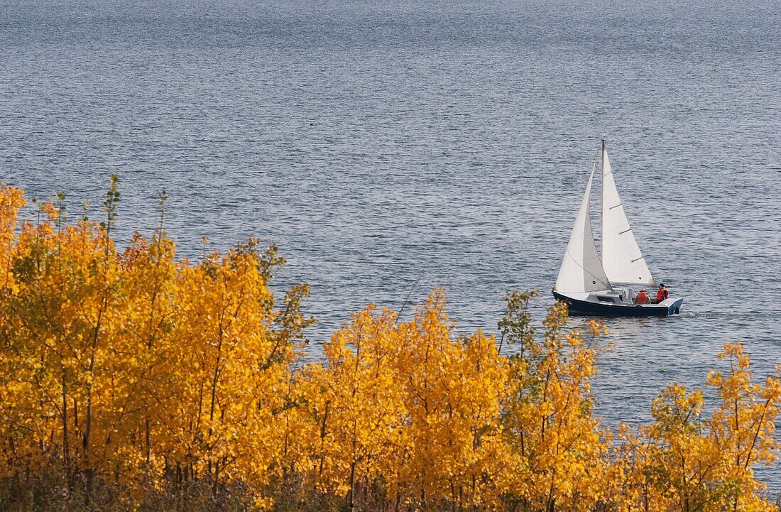 Sailing On The Glenmore Reservoir In Autumn, Calgary, Alberta, Canada
