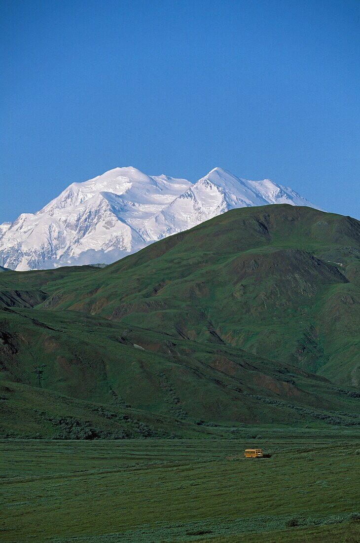 Visitor Bus On Hill With Mount Mckinley In The Distance