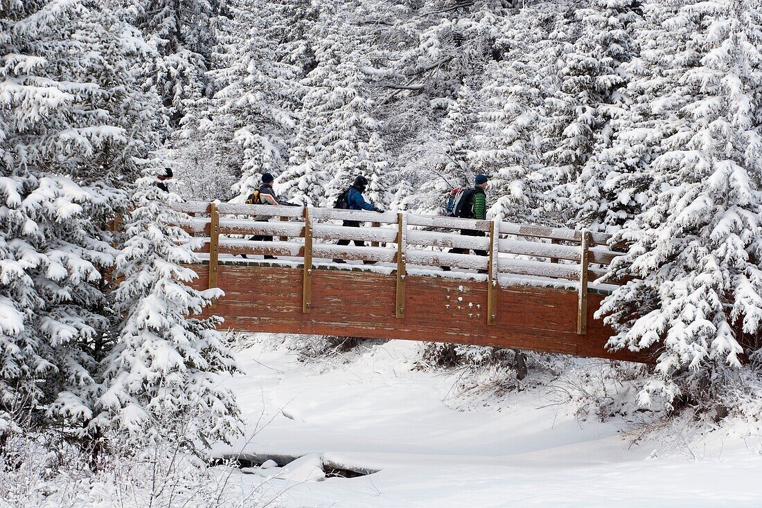 Vier Wanderer auf einer schneebedeckten Brücke