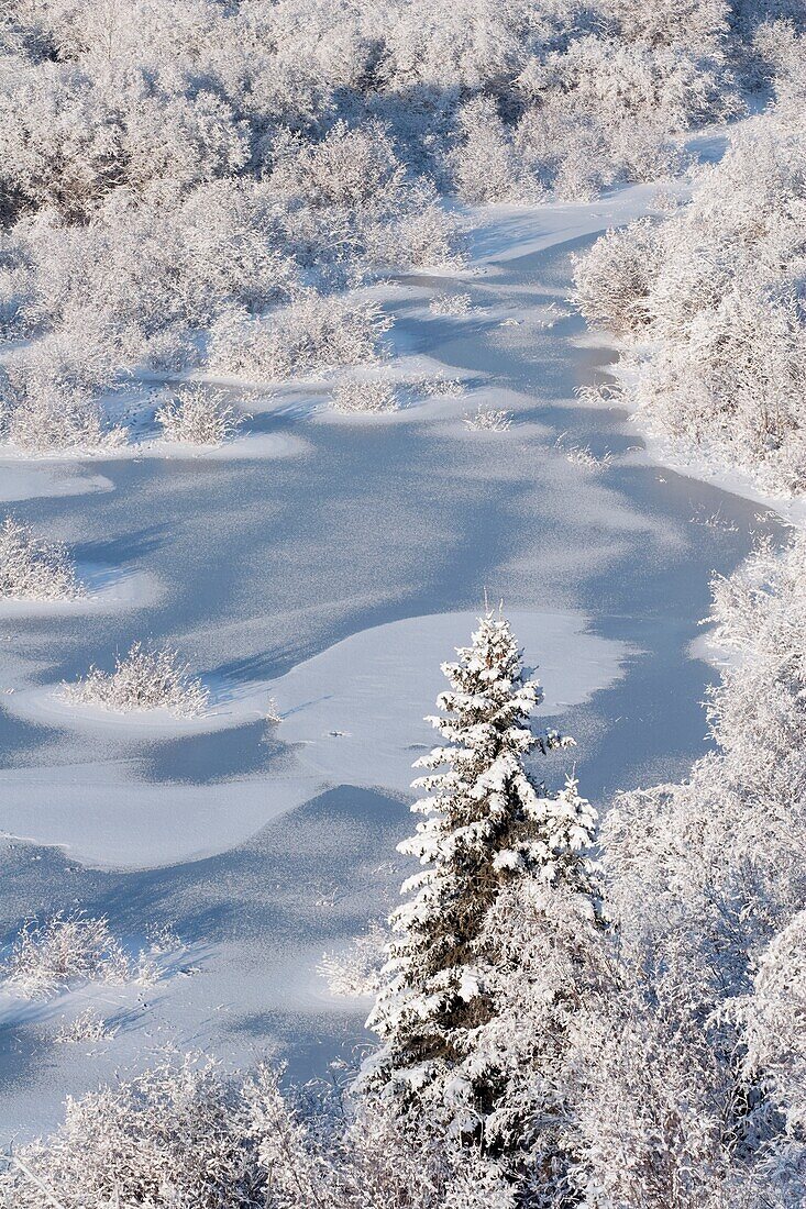 Hoar Frost On The Elbow River; Alberta, Canada