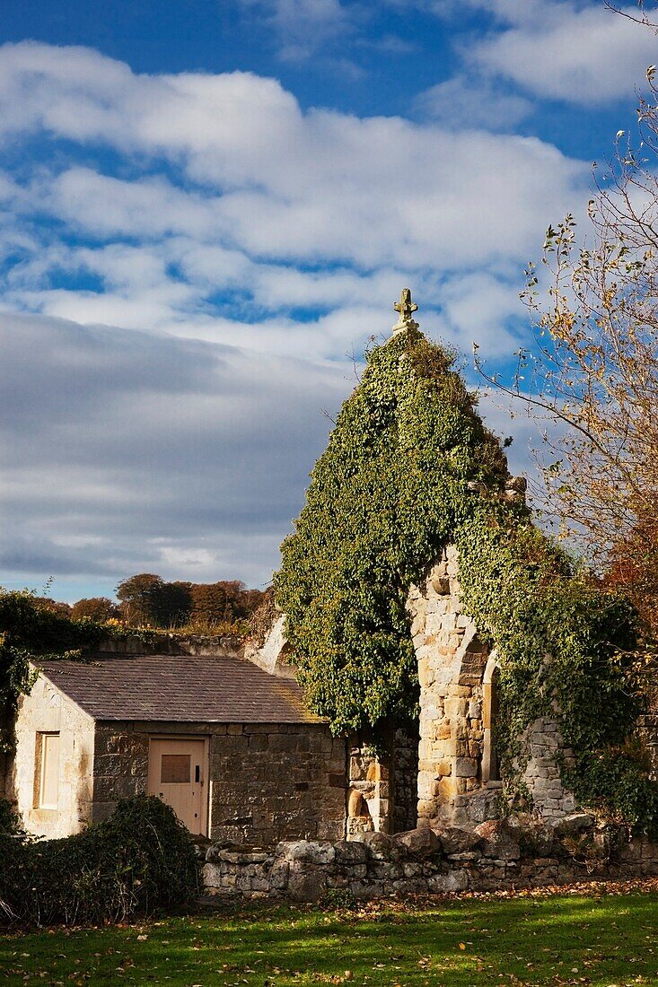 Hulne Park Priory; Northumberland, England