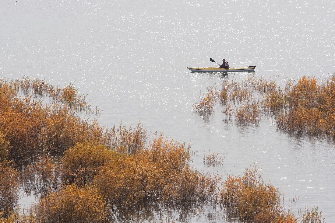 Kayaking On The Glenmore Reservoir