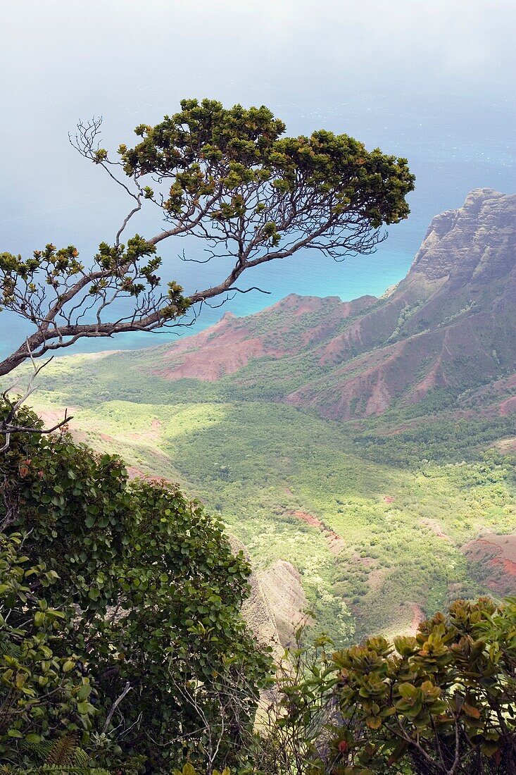 Kalalau Valley, Na Pali Coast State Park, Kauai, Hawaii