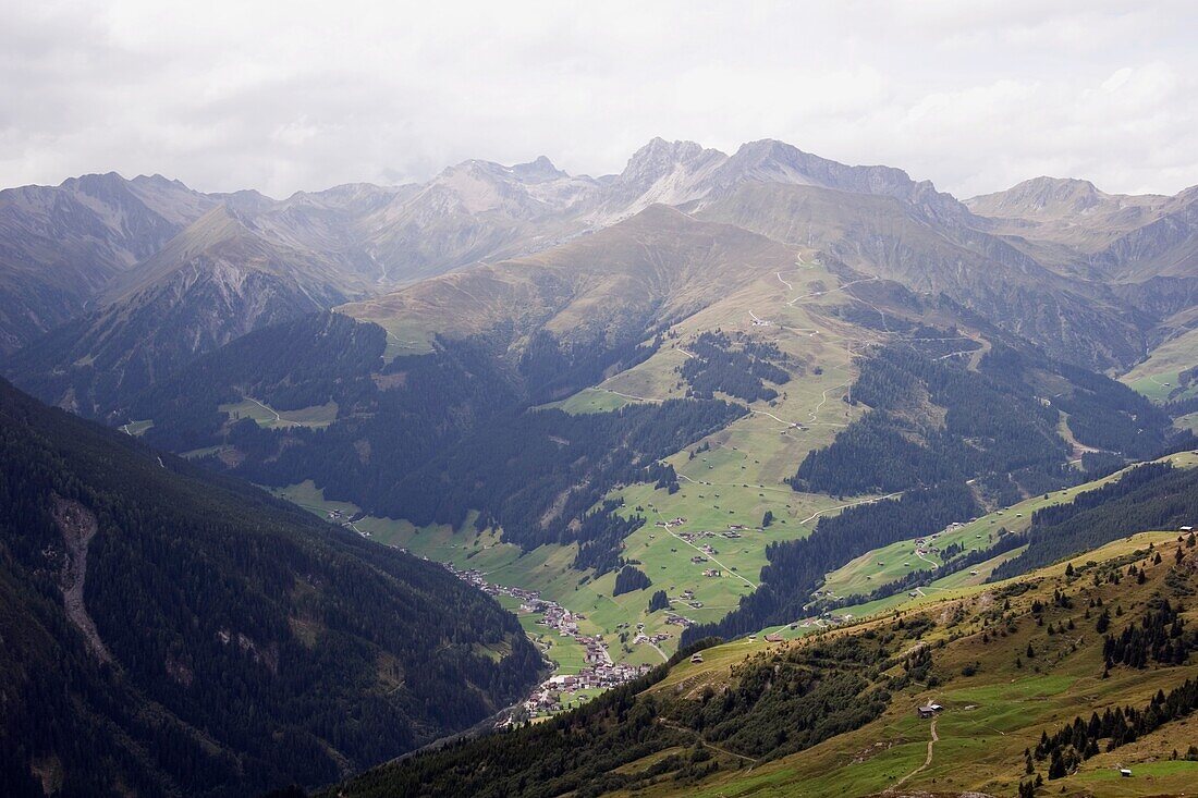Mayrhofen, Tirol, Österreich; Almwiesen und ein Blick auf die Berge