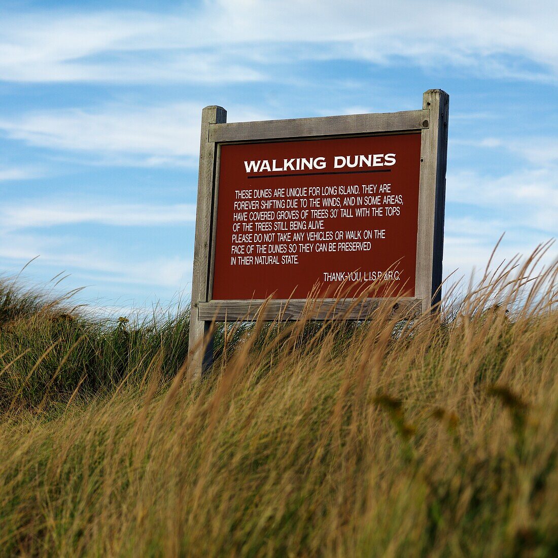 Sign In Dunes, Sag Harbor, New York, Usa