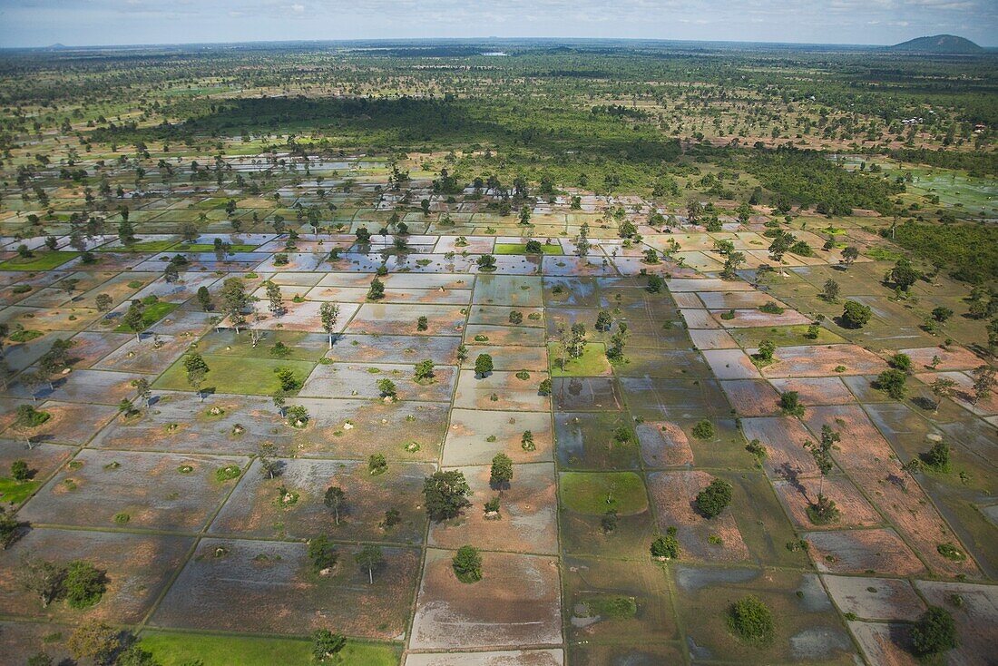 Aerial View Of Farm Lands In Cambodia; Siem Reap,Cambodia