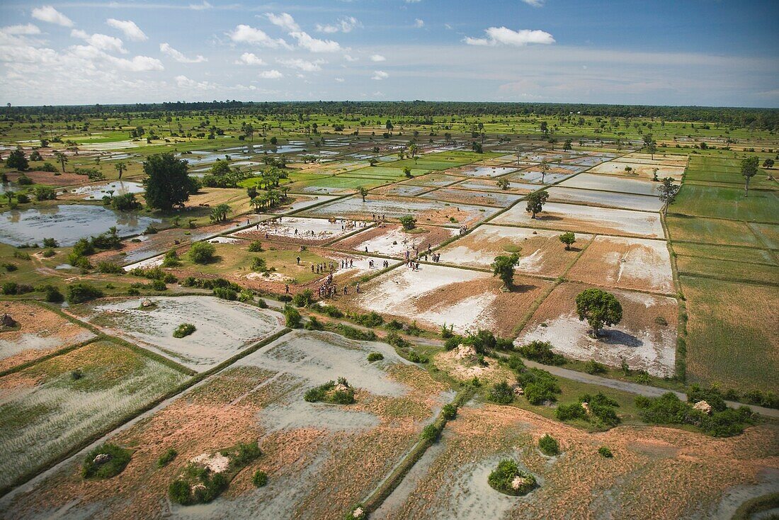 Luftaufnahme von Landwirten in Kambodscha bei der Feldarbeit