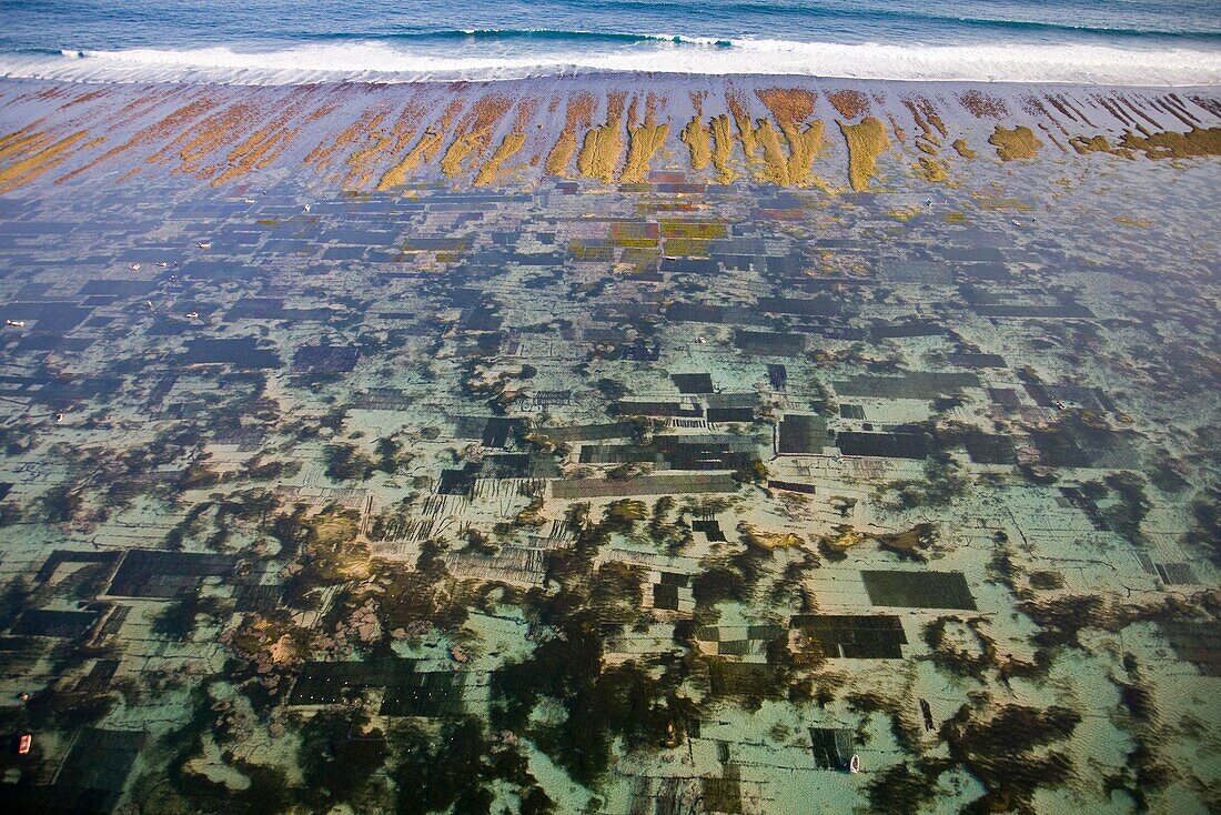 Luftaufnahme der Carrageenan-Algenplantage auf der Bukit-Halbinsel von Bali; Bali, Indonesien