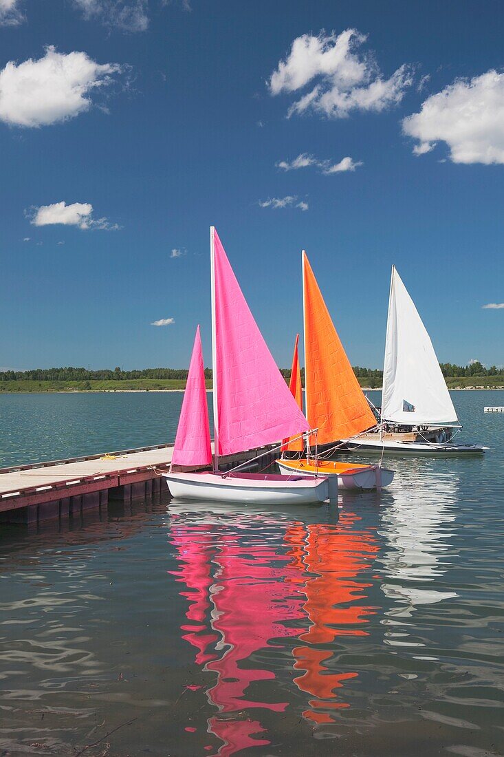 Docked Sailboats On The Glenmore Reservoir, Calgary, Alberta, Canada