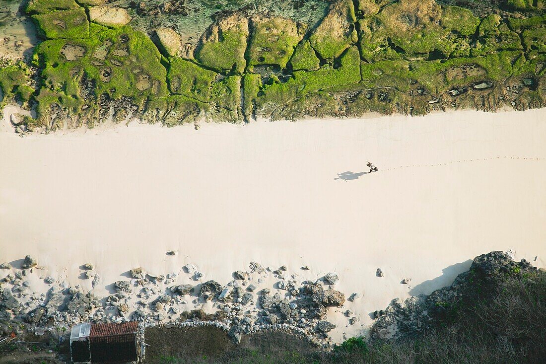 Carrageenan Seaweed Harvesting, Bukit Peninsula, Bali, Indonesia