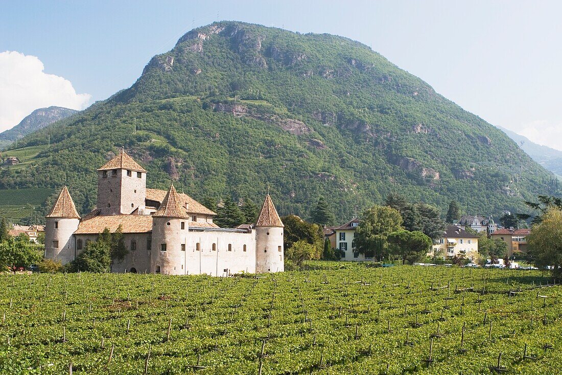Bozen, Südtirol, Italien; Schloss in einem Weinberg