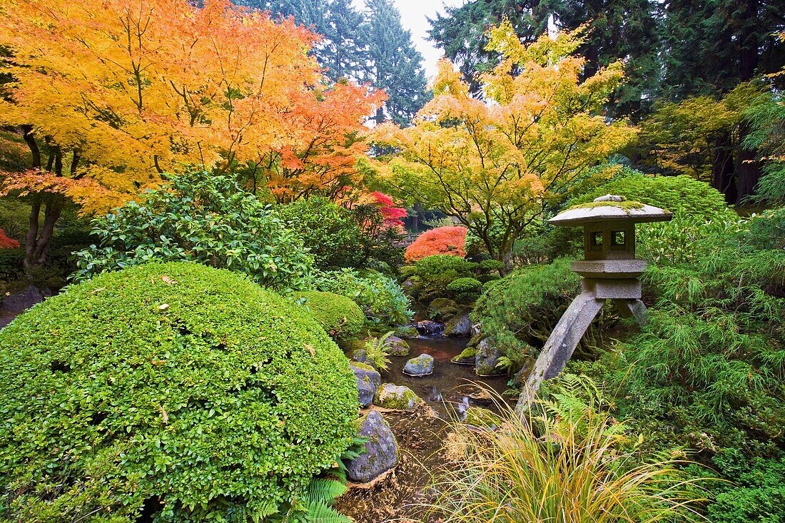 Portland, Oregon, United States Of America; Portland Japanese Garden In Autumn