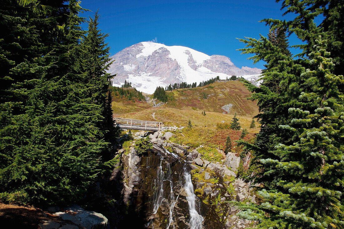 Mount Rainier National Park, Washington, United States Of America; Edith Creek And Mount Rainier