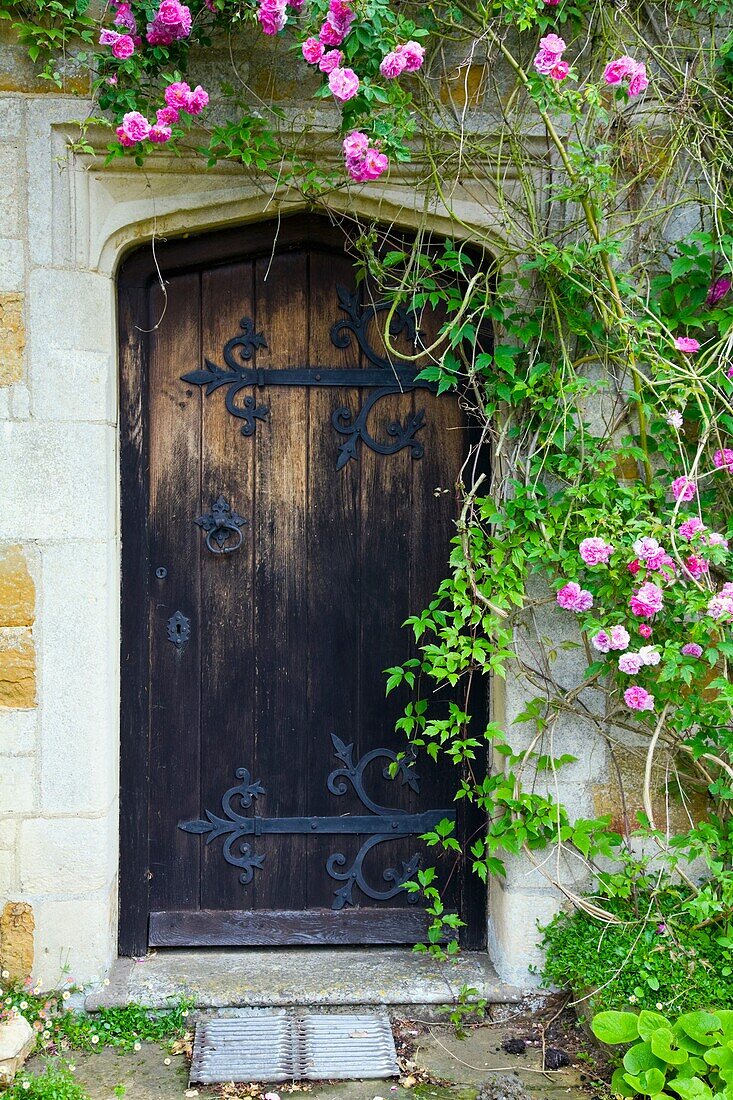 Roses Growing Around The Old, Wooden Door Of A Stone House