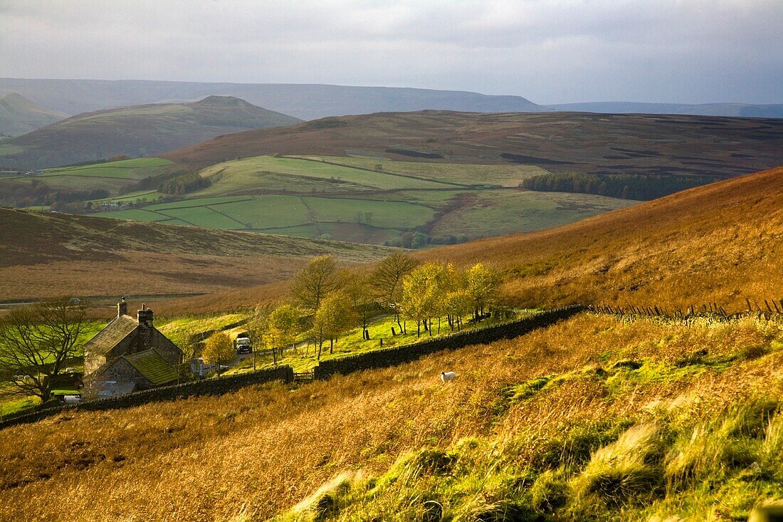 Derbyshire, England; A Farm In Peak District National Park