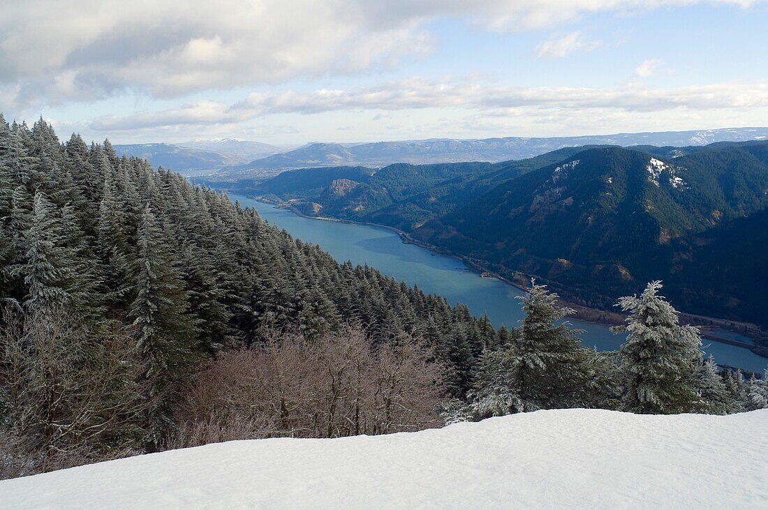 Columbia River Gorge Seen From Dog Mountain, Washington, Usa