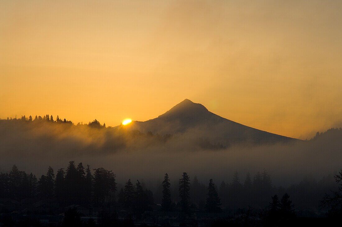 Mount Hood In Einem Nebligen Sonnenaufgang Von Powell Butte, Portland, Oregon, Vereinigte Staaten Von Amerika