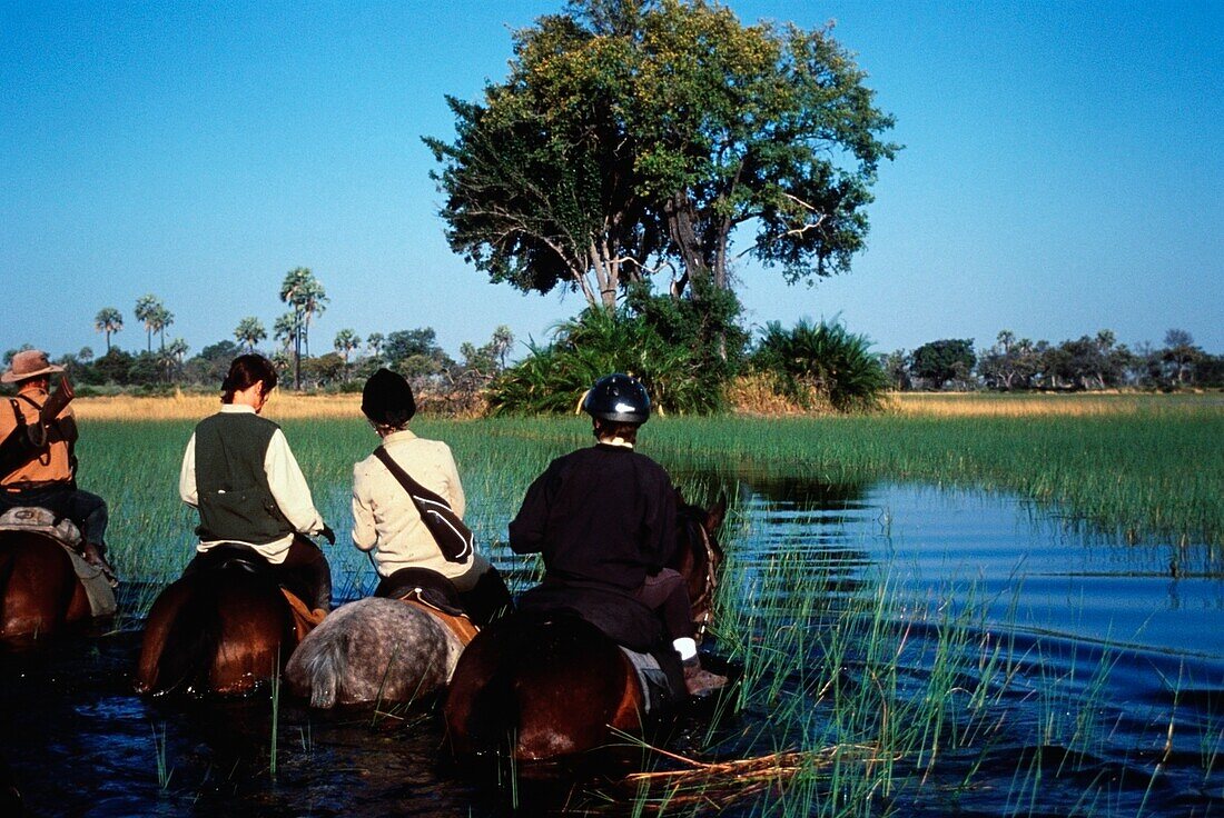 Riding On Horseback Through Water Channel