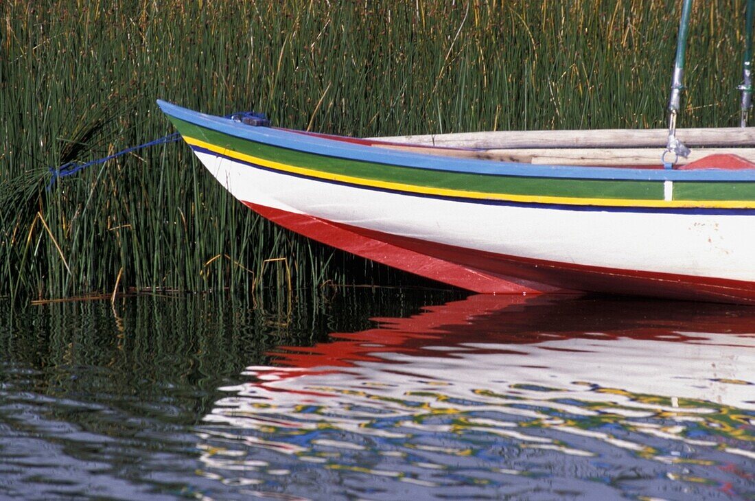 Brightly Painted Boat Among Reeds In Lake Titicaca
