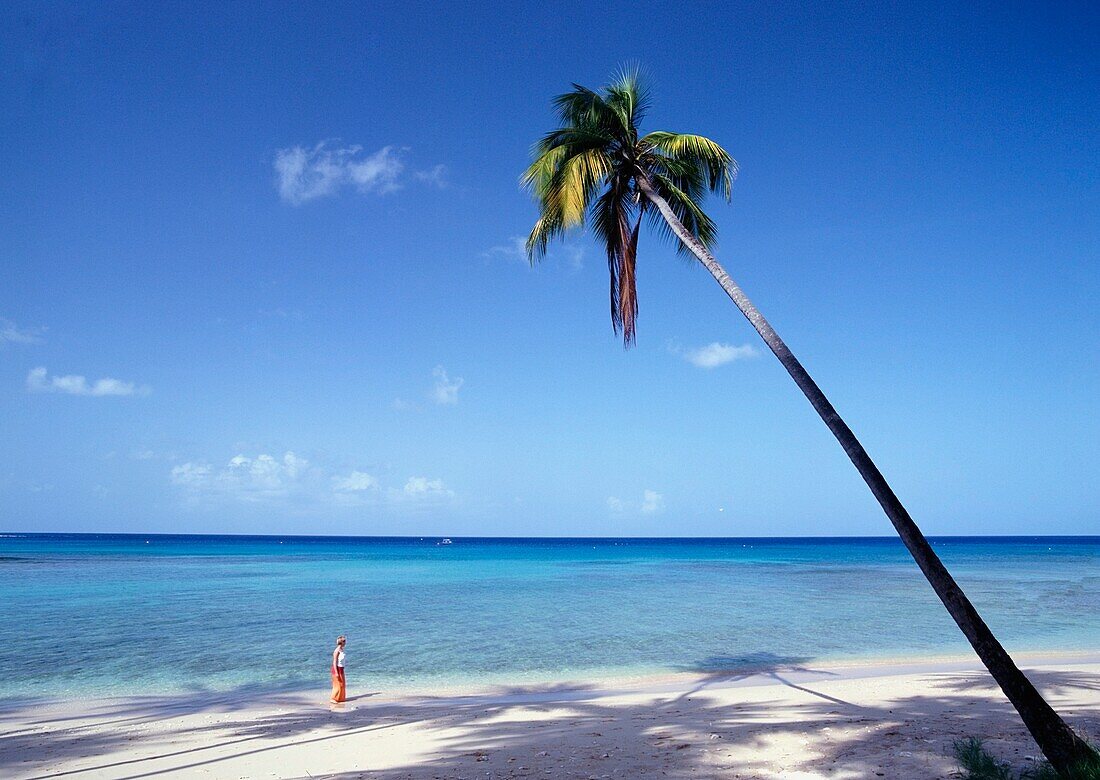 Tourist Walking On West Coast Beach