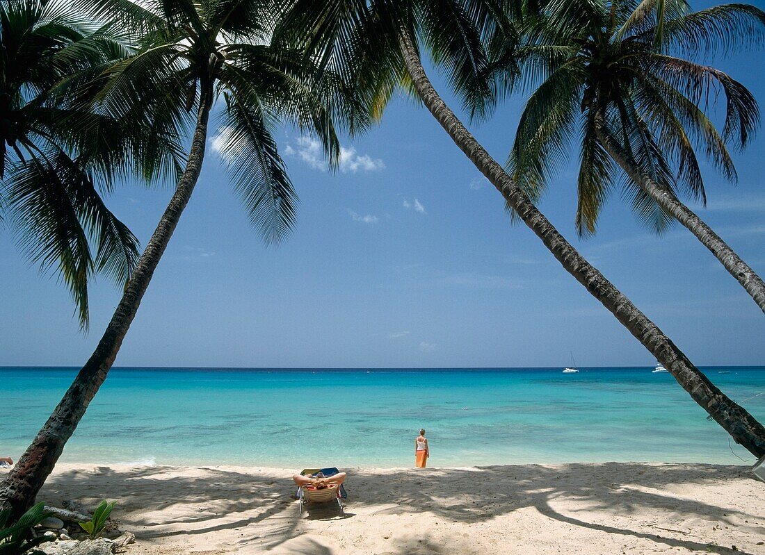 Woman Standing On Beach Between Two Palm Trees