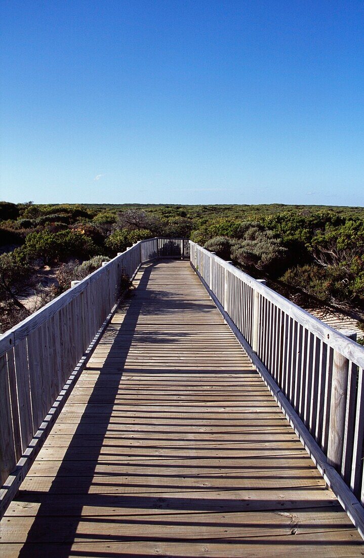 Wooden Boardwalk, South Australia