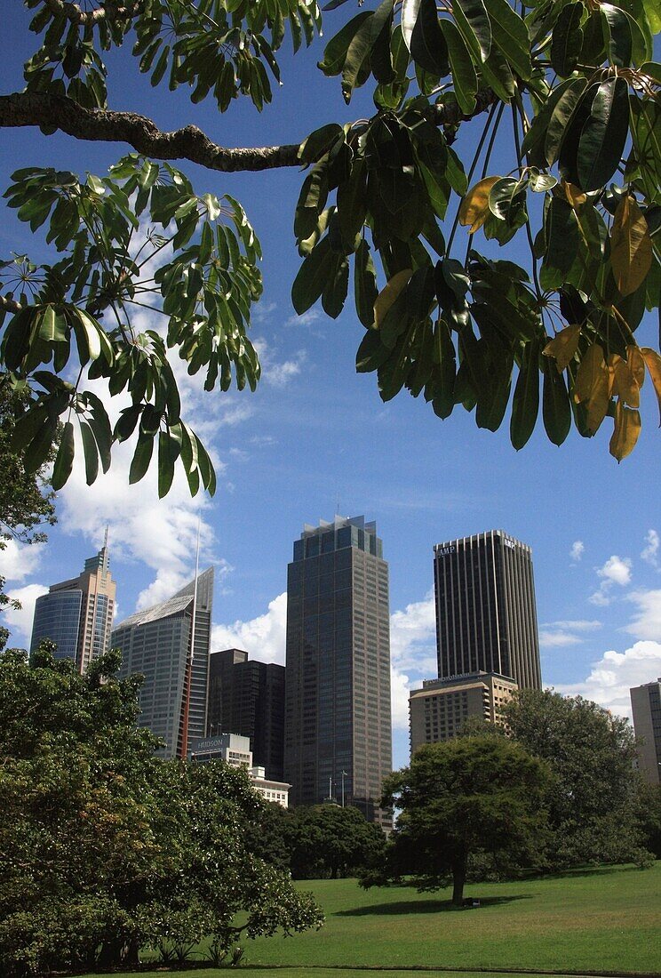 City Skyline As Seen From Botanical Garden