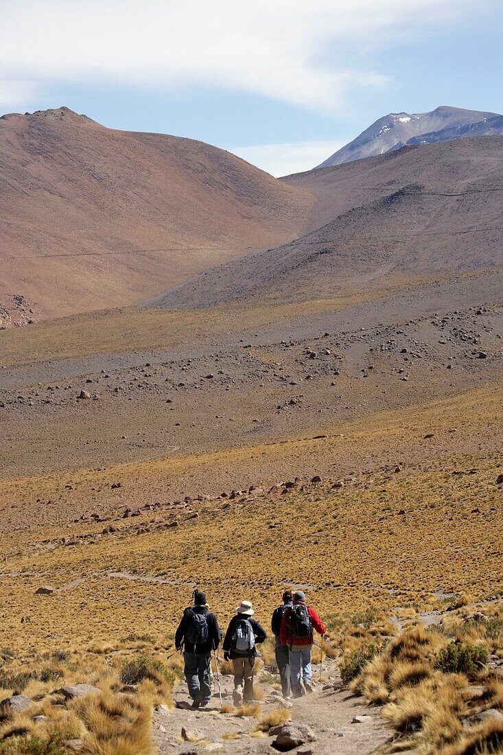 Trekking In The Andes