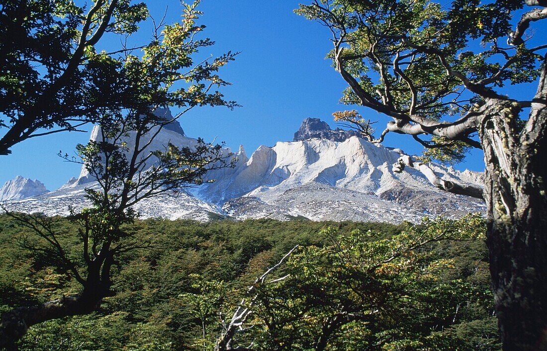 Cuernos Del Paine