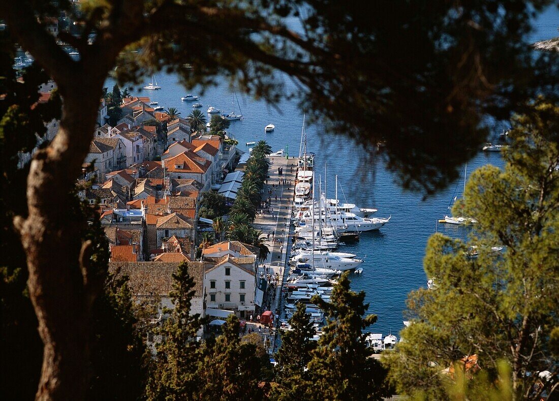 Looking Down From The Citadel To The Harbor Front And Town Of Hvar
