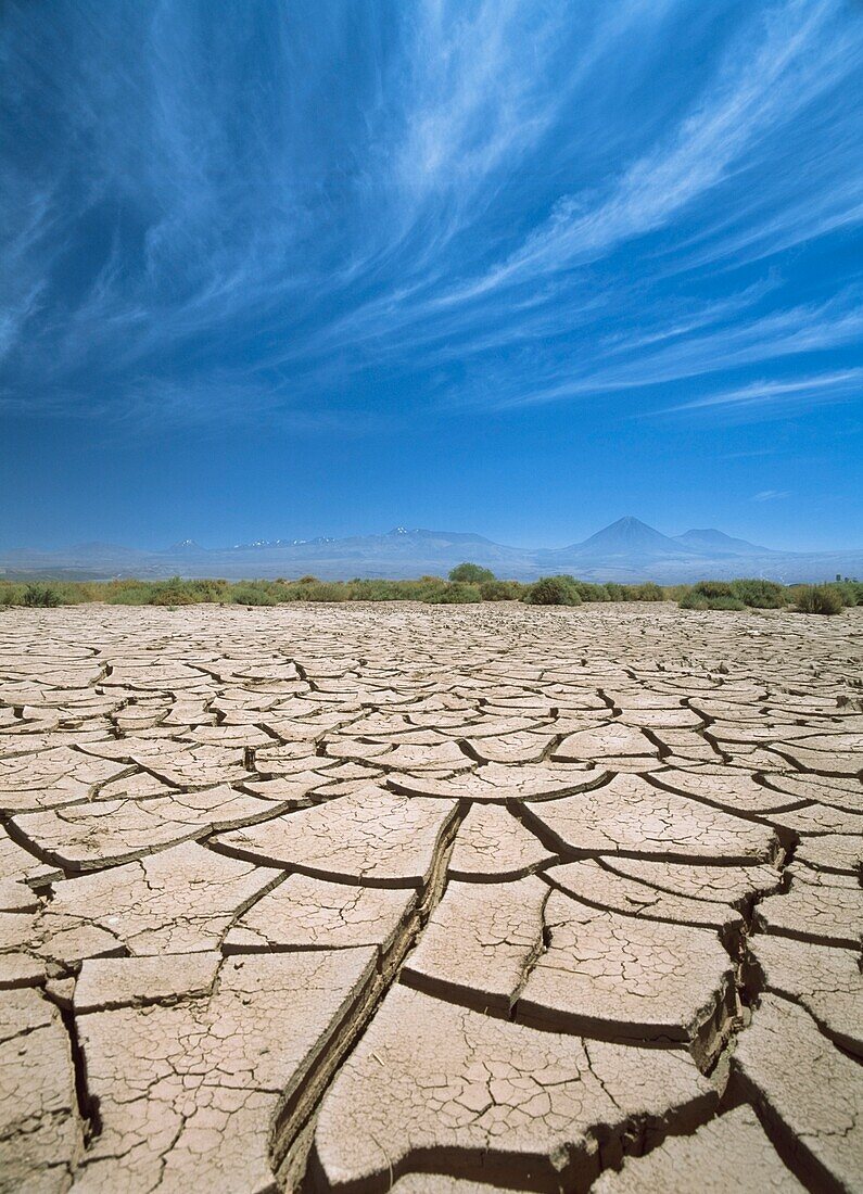 Cracked Lake Bed