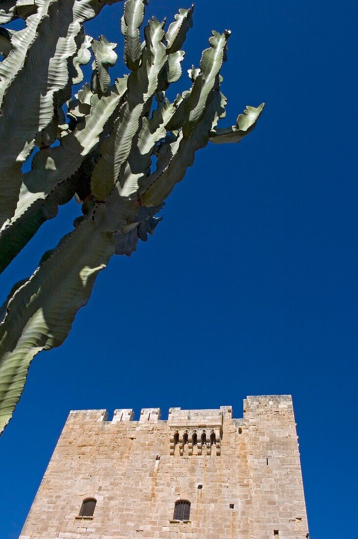 Kolossi Castle And Cactus, Close Up