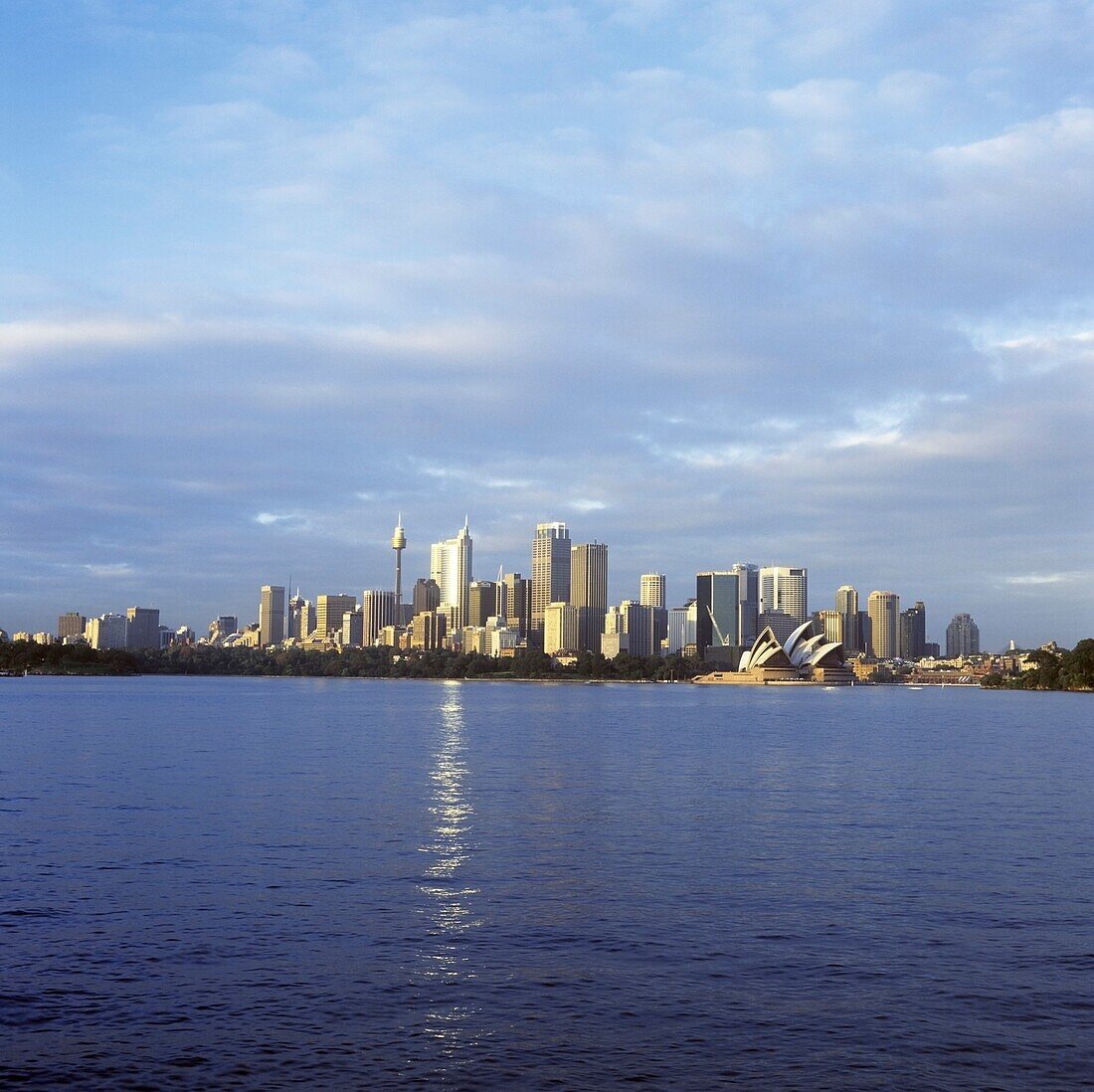 City Skyline With Sydney Opera House