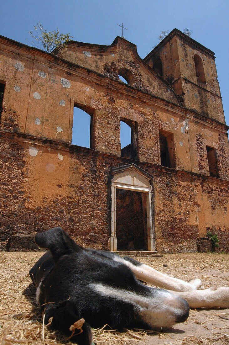 Hund schläft vor einem alten Fort