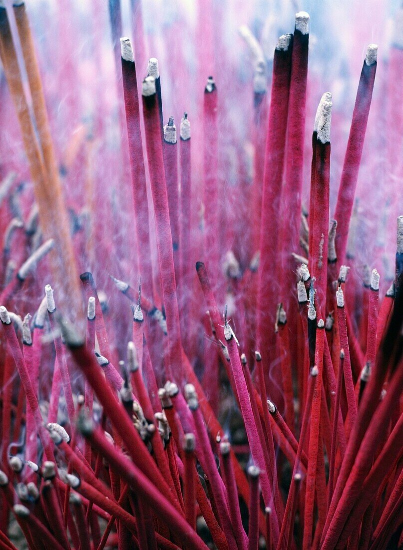 Burning Incense At Wenshu Temple