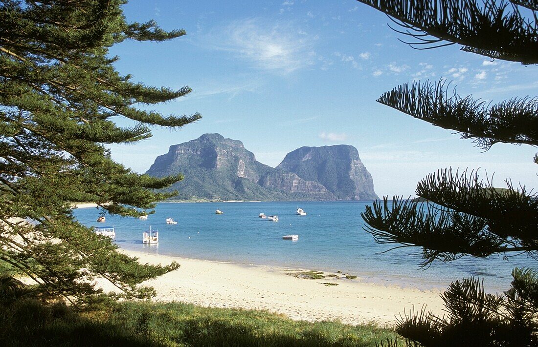 Mt Lidgbird And Mt Gower Seen From Signal Point