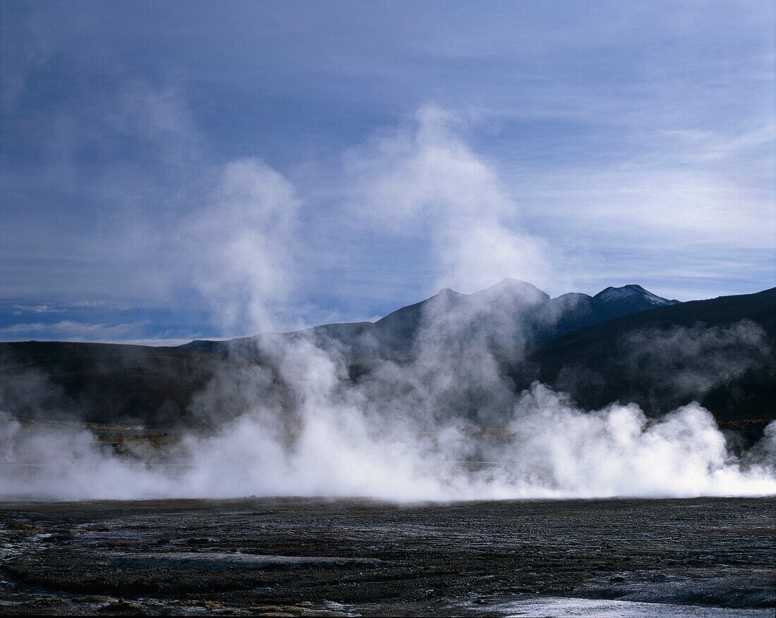 Dampf bei den Geysiren von El Tatio