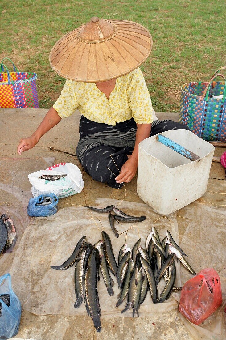 Frau verkauft Fisch auf dem lokalen Straßenmarkt