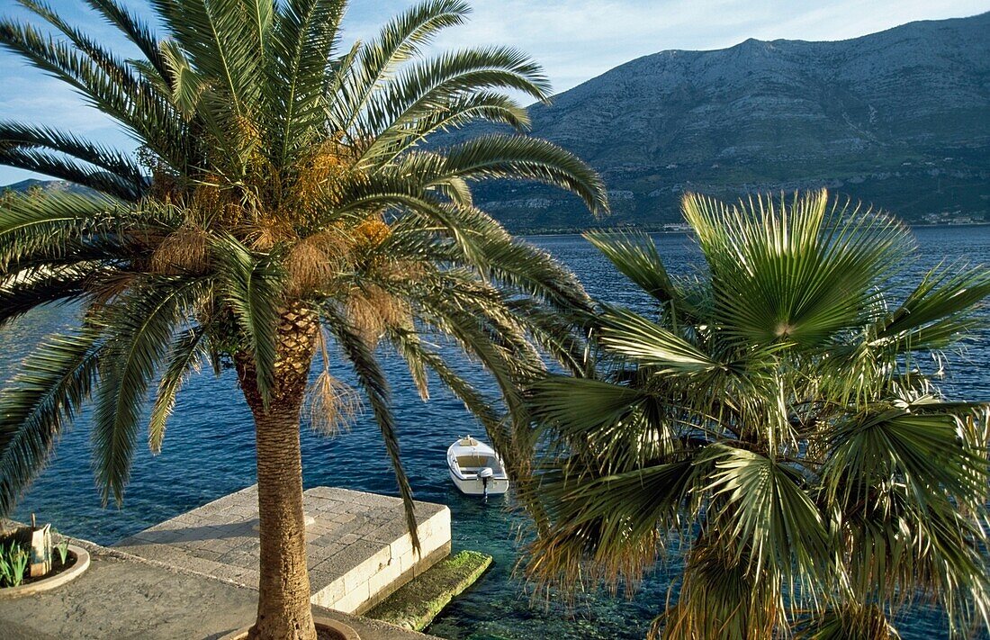 Korcula Town Island