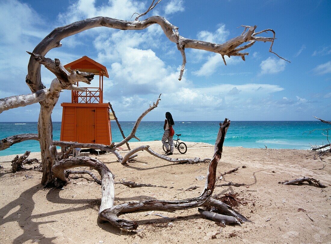 Man Walking Along Beach With Bicycle Near Driftwood And Lifeguard Hut