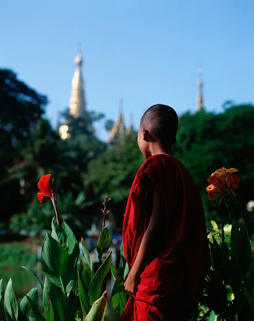 Mönch im Park nahe der Shwe Dagon Pagode, Rangun, Myanmar