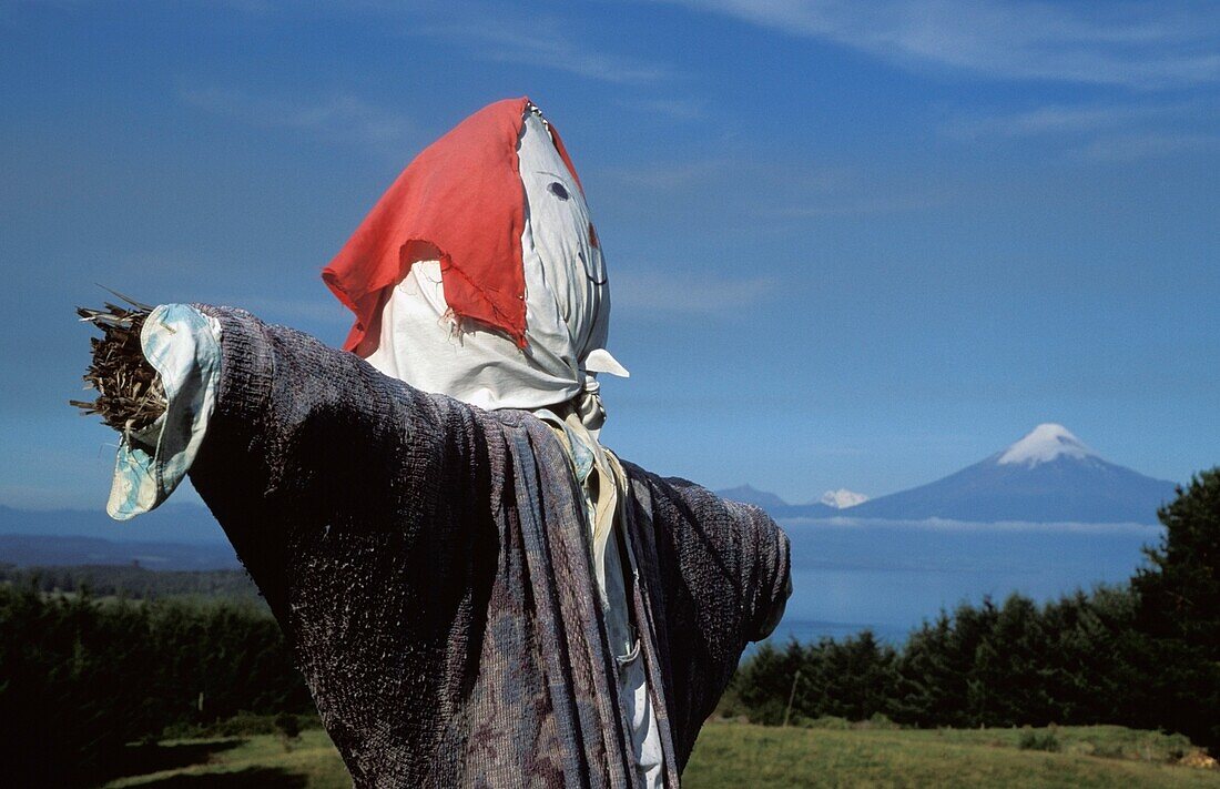 Scarecrow Beside Lake Llanquihue And Volcano
