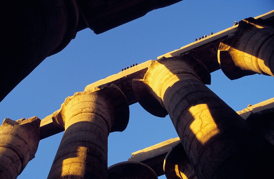 Säulen der Großen Hypostyle-Halle, flacher Blickwinkel