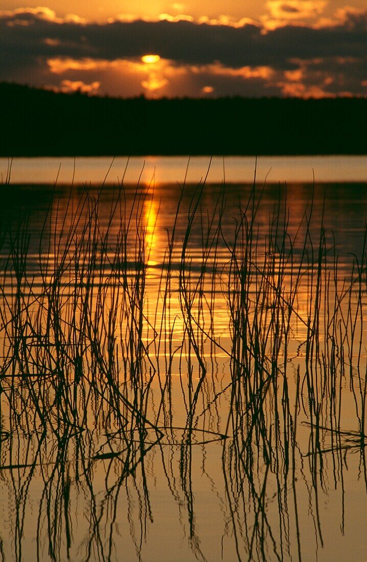 Midnight Sun Setting Over River Tornio