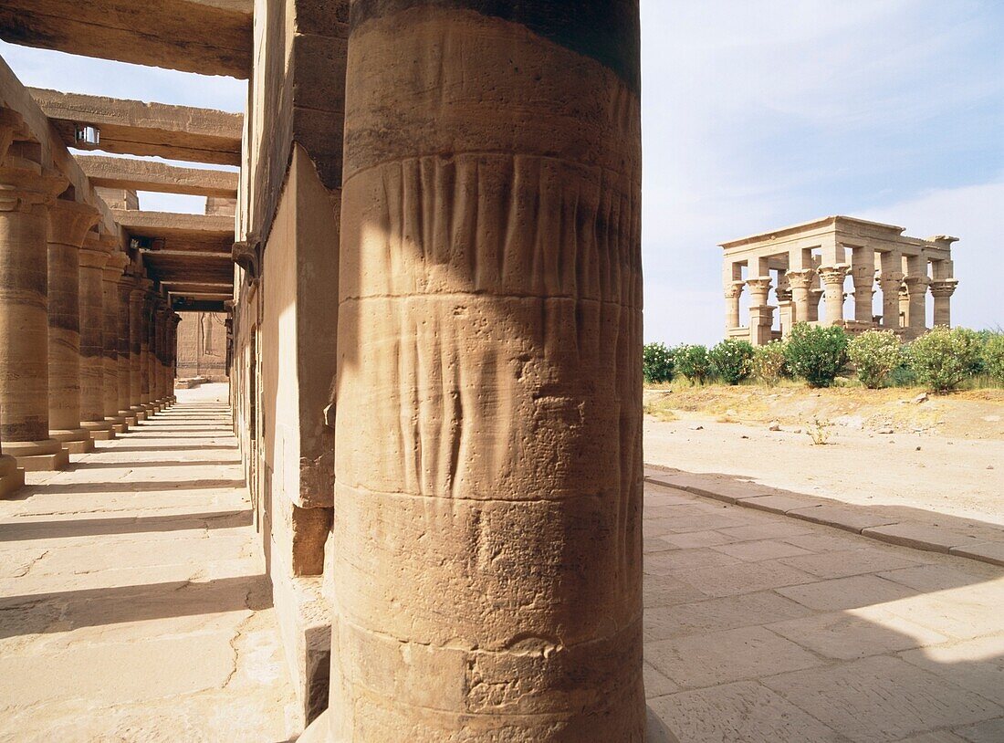 Column Of Temple, Close Up