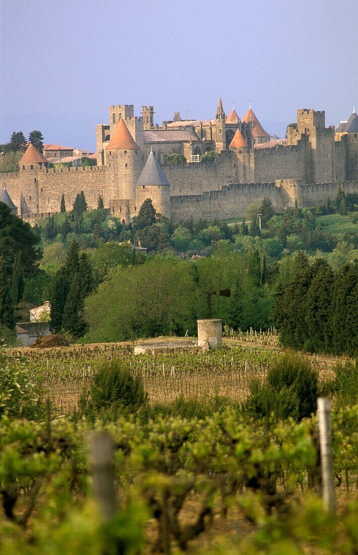 Festungsstadt Carcassonne und Weinberge