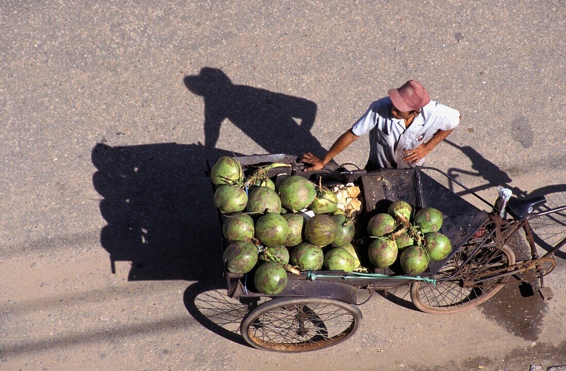 Coconut Vendor In Street