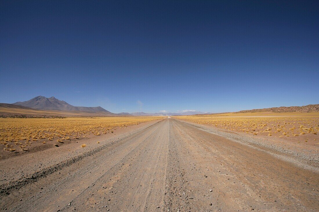 Empty Desert Road.
