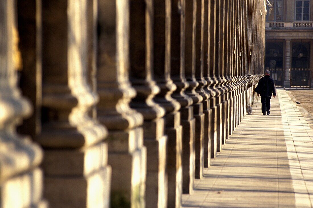 Jardin Du Palais Royal